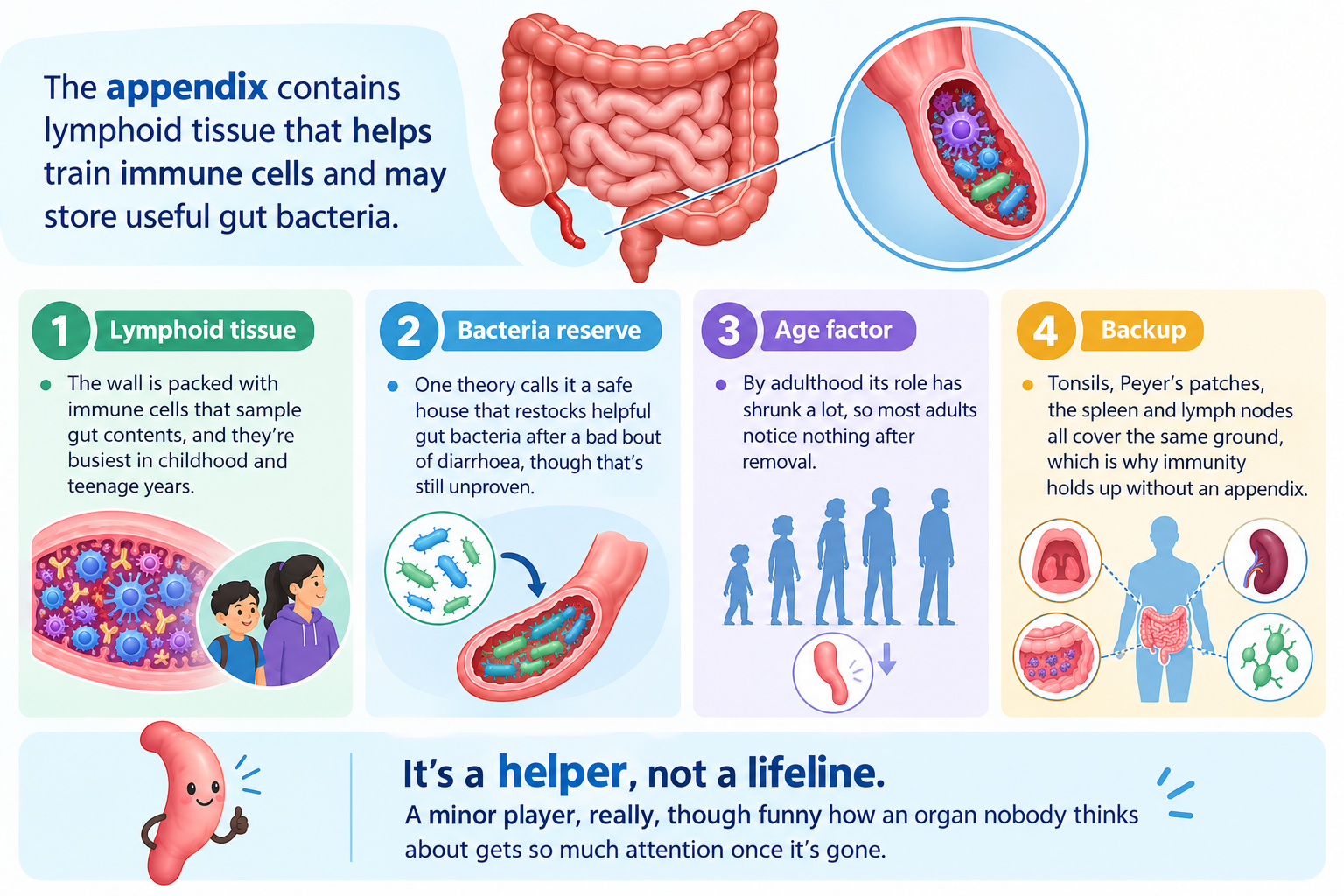 The Appendix A Friendly Infographic