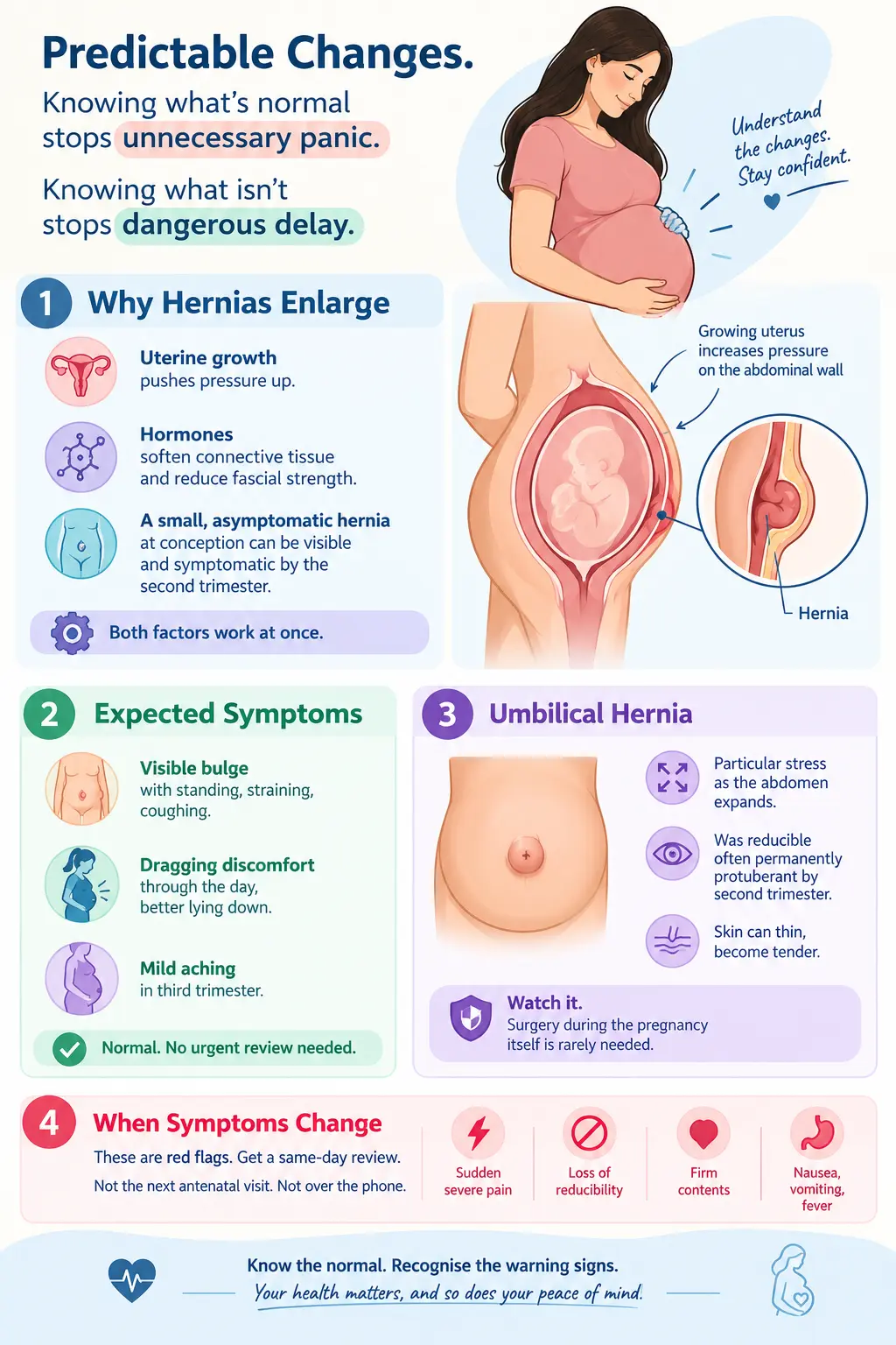 Pregnancy Hernia Warning Signs Infographic